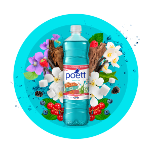 Poett Limpiador Líquido Alegra Tu Día 900 ml